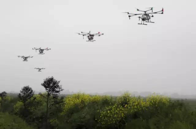 震撼！安徽九成畈农场首次组织无人机“战队”防控