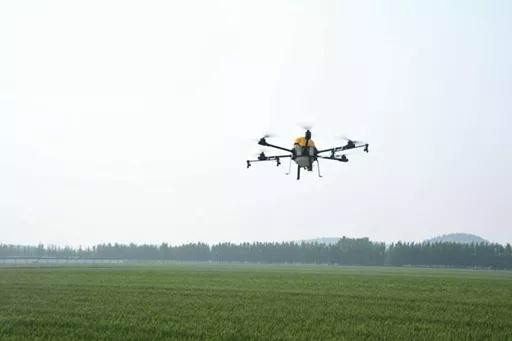 植保无人机助力小麦“一喷三防”