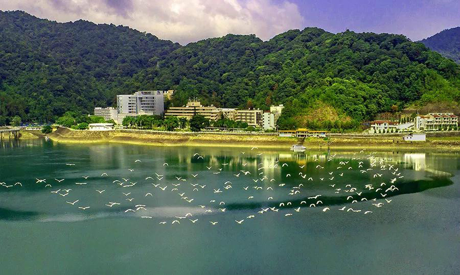 中国旅游日丨海岛、湿地、玻璃桥 无人机带你瞰缤纷南国